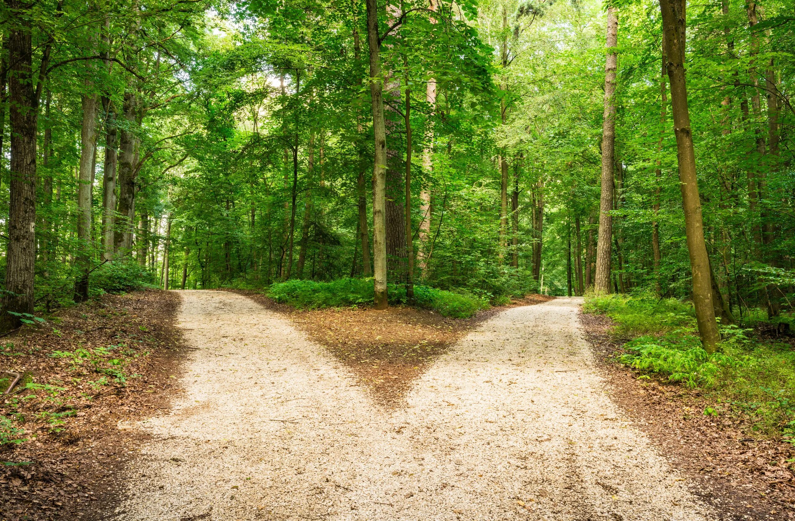 Second path