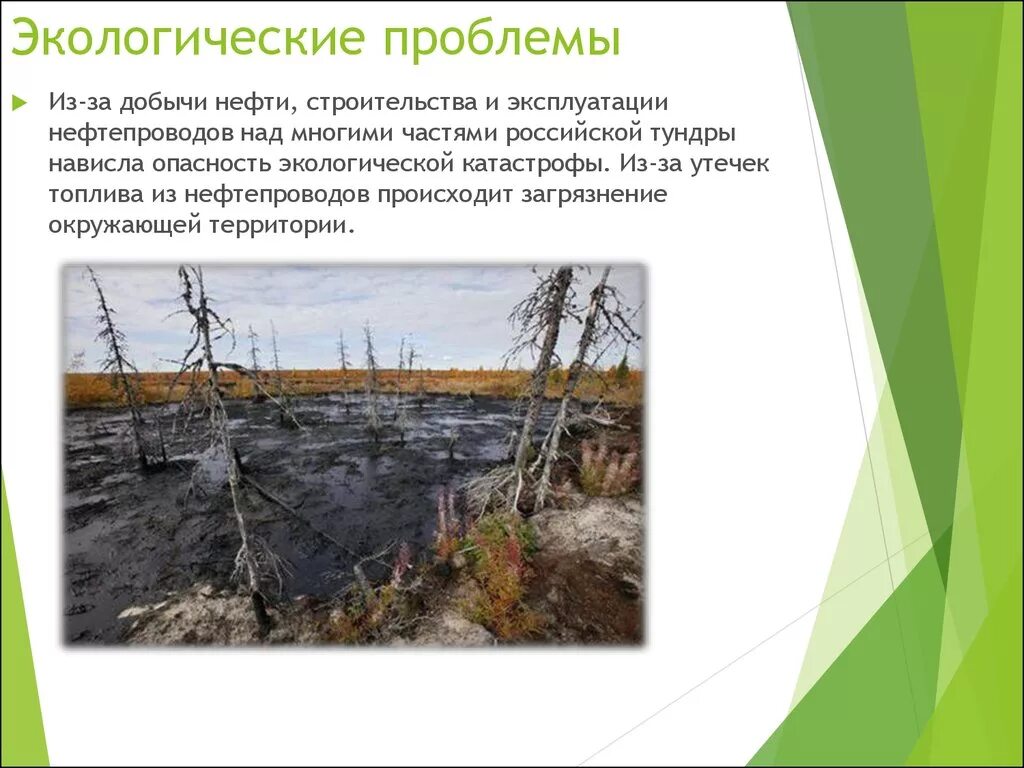 Проблемы тундры в россии. Экологические проблемы тундры и лесотундры в России. Экологические проблемы лесотундры в России. Экологические проблемы в зоне лесотундры. Экологические проблемы зоны тундры и лесотундры.