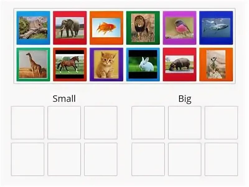 Big small animals. Big and small animals. Big or small animals. Small animal big animal. Анимация big small животные.