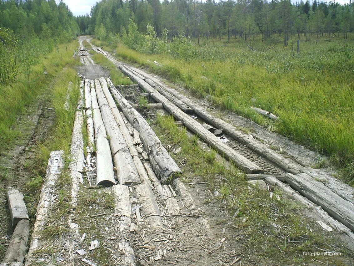 Погода в киршино печорского района. Приуральский поселок Троицко Печорск. Троицко-Печорский район Республика Коми. Поселок Знаменка Троицко Печорский район. Приуральский Троицко Печорского района Республики Коми.