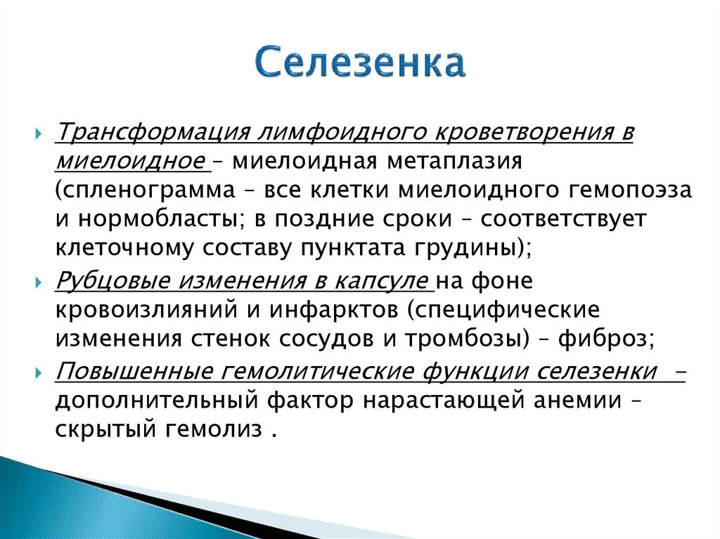 Лекарства для селезенки. Селезенка как лечить и какие лекарства. Лекарство для селезенки. Селезёнка болит лекарства.