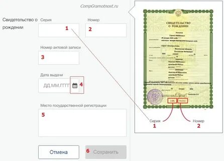 Как правильно писать номер свидетельства о рождении