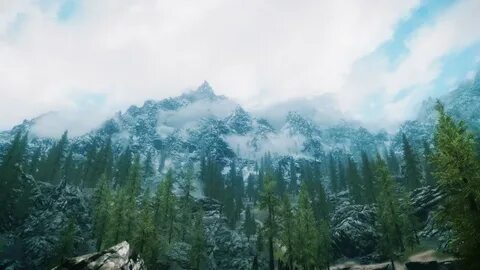 Skyrim webcam