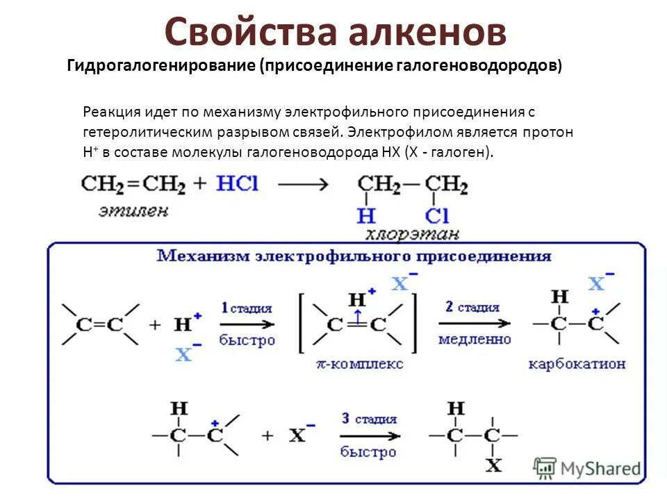 В реакцию гидрогалогенирования вступает