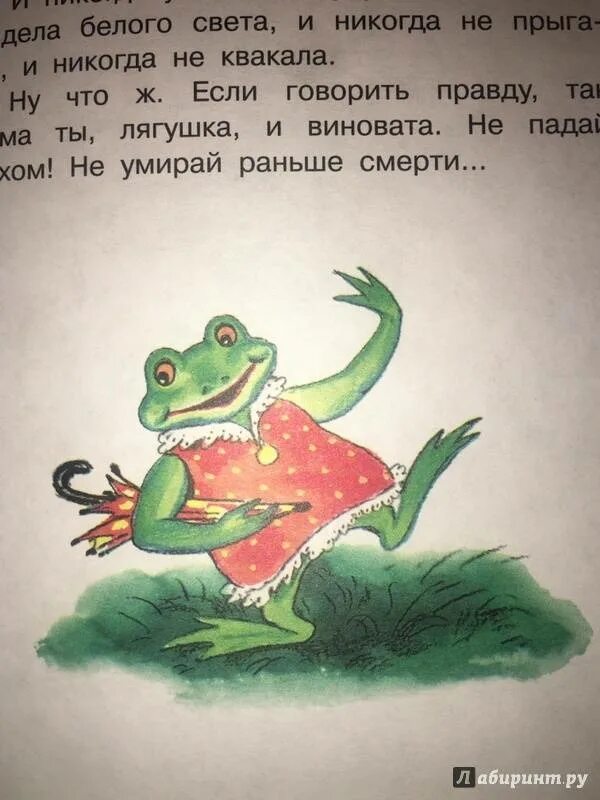 Смешная история про хвастовство 3 класс. Лягушка сказка. Смешной рассказ про лягушку. Придумать историю про лягушку путешественницу. Сказка про лягушкупутешественицу.