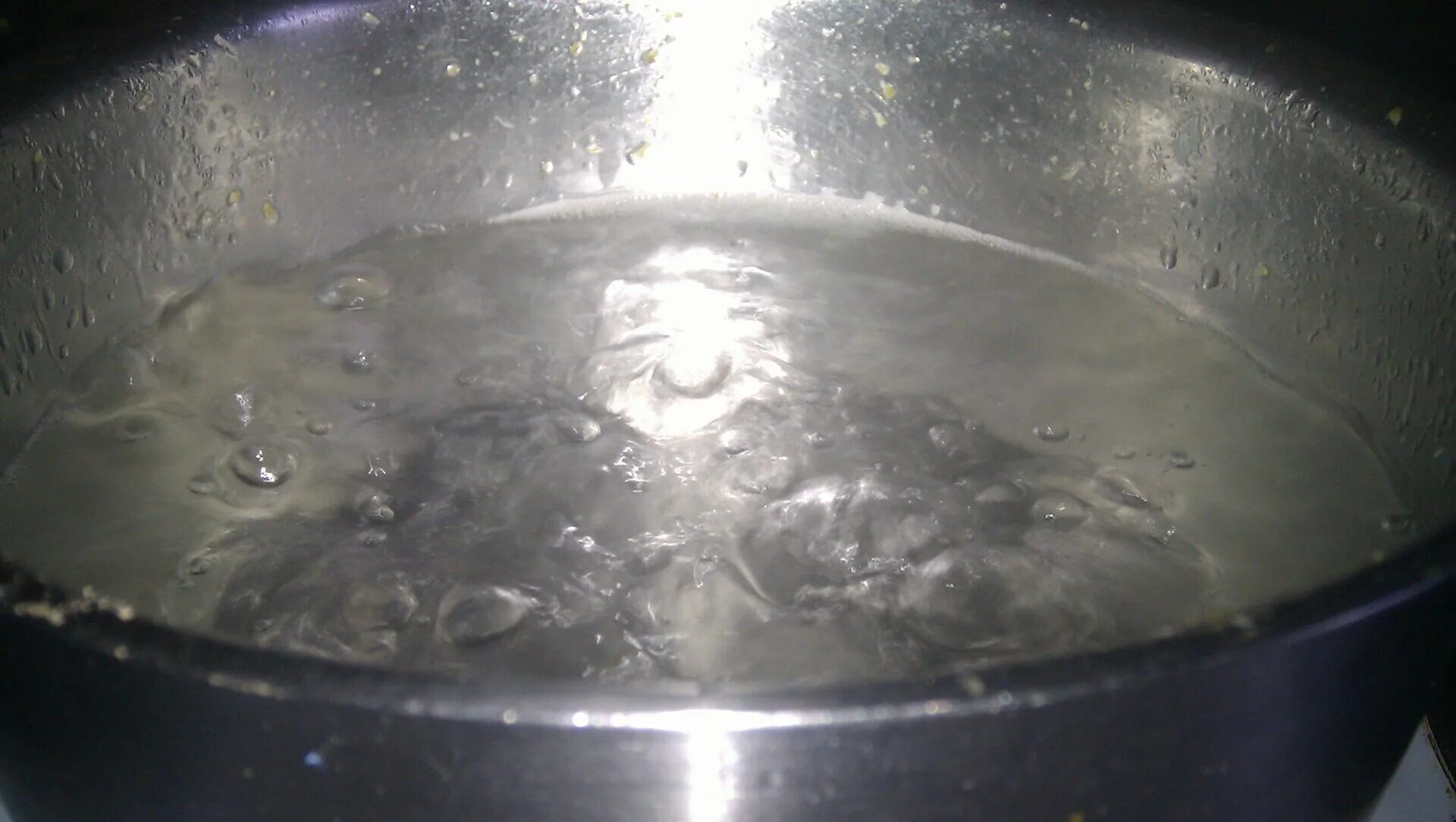 Гибель семян в кипяченой воде