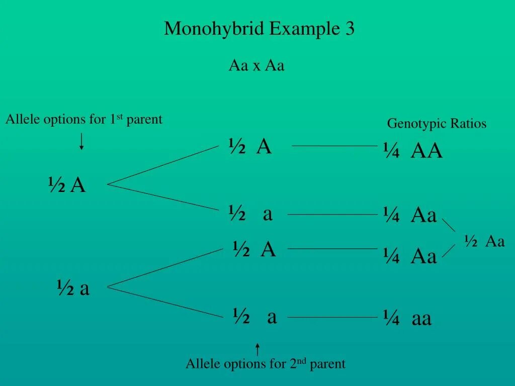 Forked line method. AA X AA.