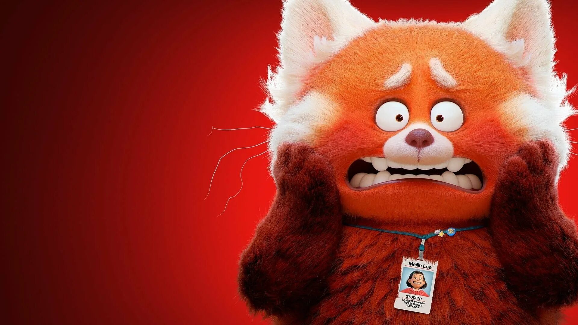 Turning red мультфильм 2022. Красная панда из мультика. Я красна я кисла на болоте я. Я краснею 2022. Я краснею turning red 2022.