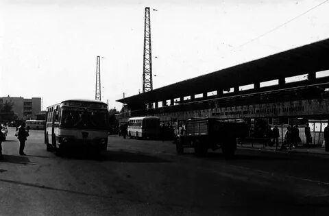 Автобус 79 от выхино до реутова