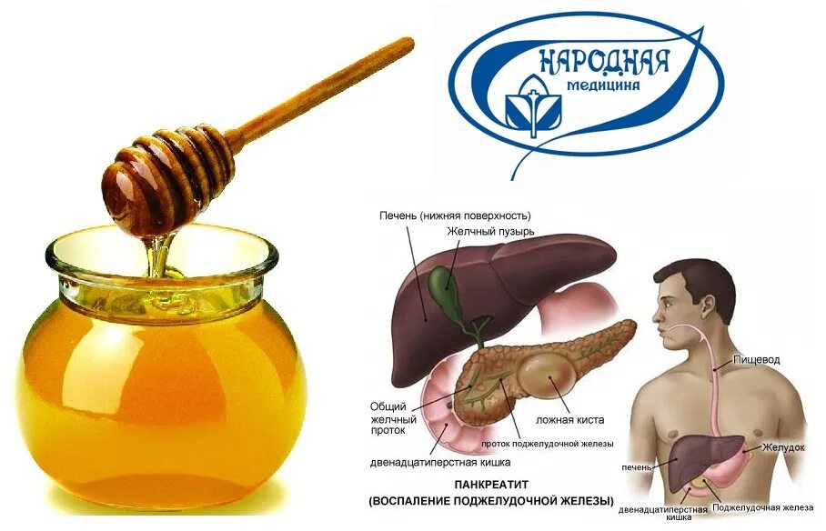 Можно ли печень при панкреатите