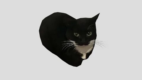 Maxwell the cat (Dingus) 3D Model.