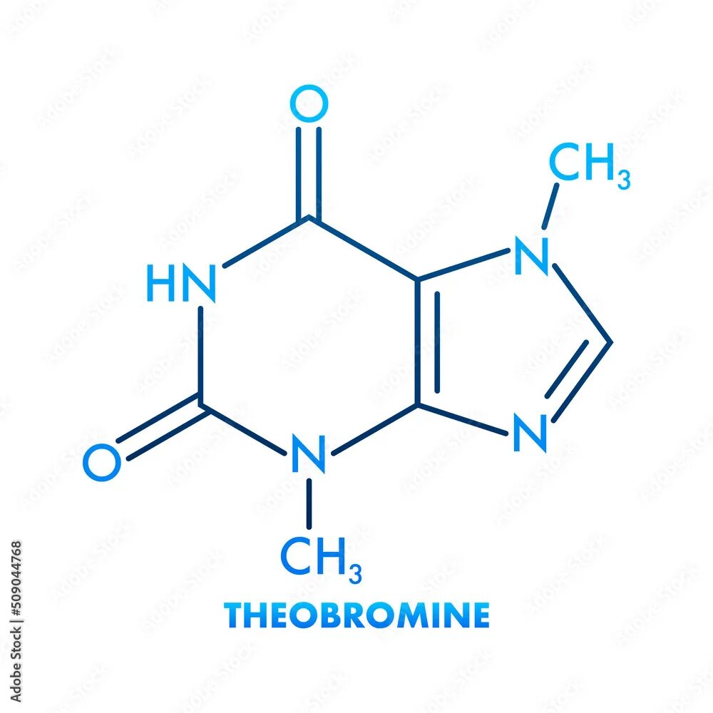 Кофеин и теобромин. Теобромин таблетки. Theobromine. Молекулы алкалоидов. Структурная формула теофиллина.