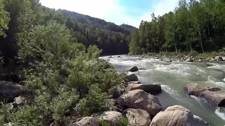 Пляж в стерлитамаке на реке белой. Видео реки белая. Исток реки белая адыгея. Река белая адыгея рыбалка. Река белая кубань.