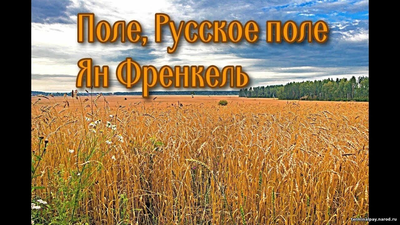 Гофф русское поле слушать. Гофф русское поле. Русское поле в произведениях. Поле русское поле песня. История создания русское поле.