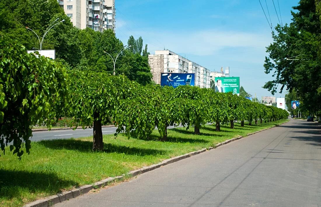 Проспект Дачия Кишинев. Бульвар Дачия Кишинев. Кишинев сейчас Дачия проспект. Бул. Дачия, сектор ботаника Кишинев. Кишинев бульвар