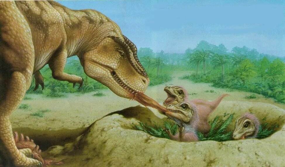 Тираннозавр рекс детеныш. Тираннозавр рекс мама динозавр. Самка динозавра.