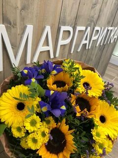 Маргаритки для маргариты картинки