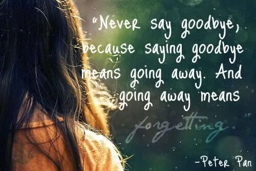 I can say goodbye. Saying goodbye. say goodbye картинка. never say goodbye  indian movie quotes. it&#039;s never goodbye.