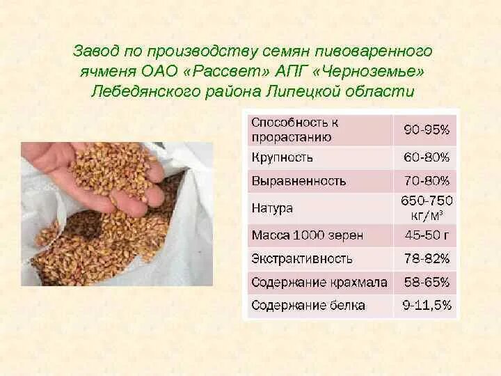 Таблица крахмала в зерновых культурах. Рис содержит 75 процентов крахмала а ячмень. Содержание сахара в зерновых культурах таблица. Математика 6 класс виленкин. Строение и химический состав зерна.