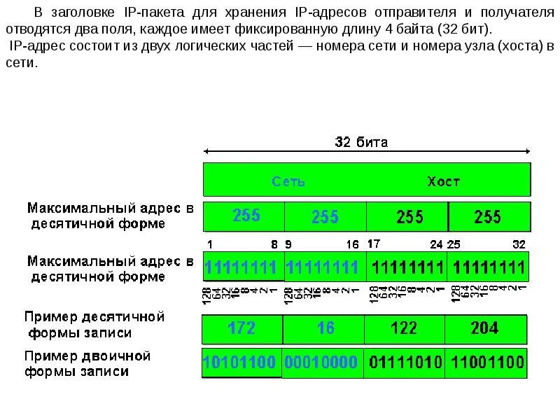 Ip отправителя. Цифры в IP адресе. Количество байт в IP адресе. Адресация в сети. Длина IP адреса.