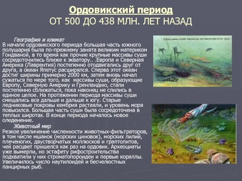 Ордовик период растения. Ордовик период растения. Палеозой эра кембрий. Палеозойская эра период ордовикский период. Ордовик период растения.