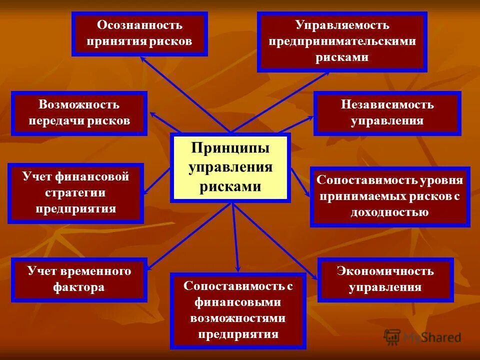 Система предпринимательских рисков. Принципы управления финансовыми рисками. принципы предпринимательских рисков. основные принципы управления риском. основные принципы управления предпринимательскими рисками.