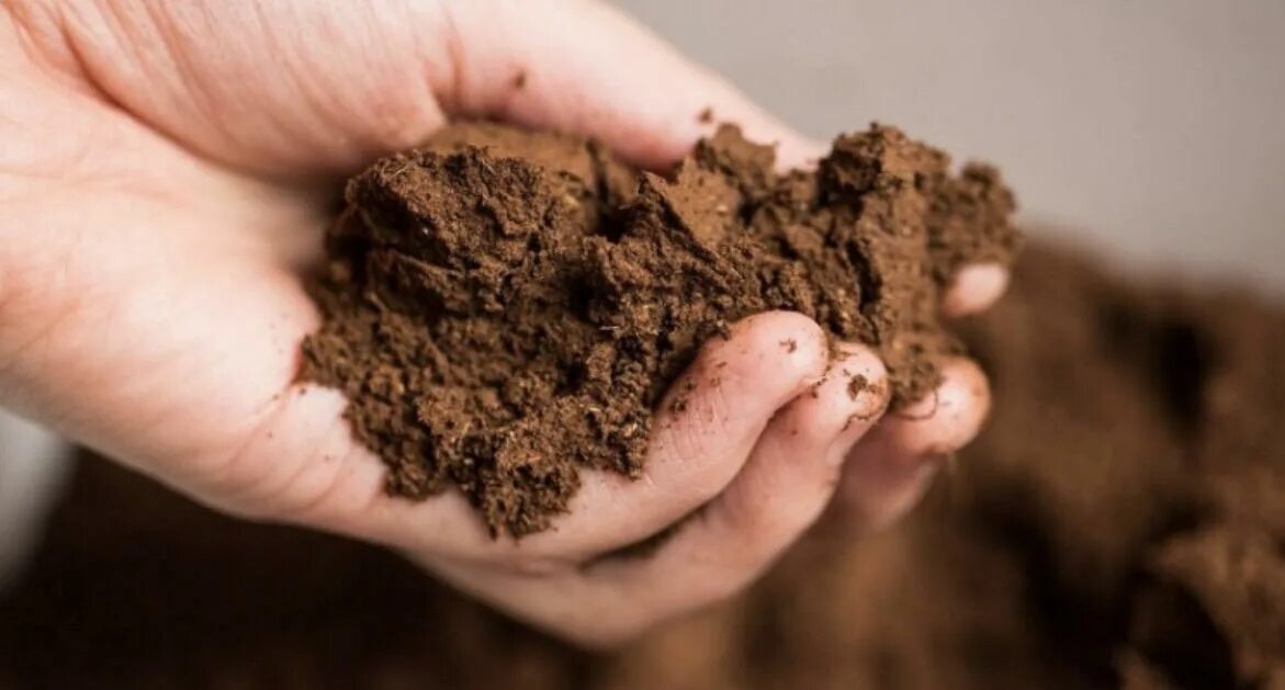 глинистый суглинок. супесь чернозем. глина суглинок супесь. суглинок бурый. супесь.