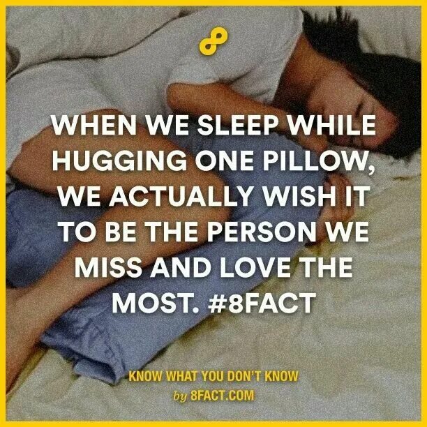 Miss slept. Study while others are sleeping. When are you sleeping. When you were sleeping. While we Sleep.