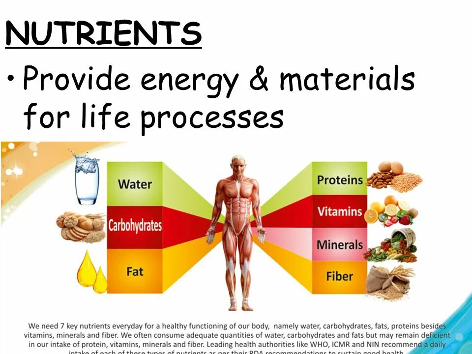 Nutrients перевод. Carb Protein fats. Proteins fats carbohydrates. Vitamin Mineral Protein. Картинка Proteins fats carbohydrates Vitamins.