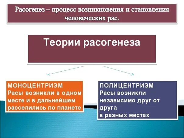 Происхождение человека человеческие расы. Гипотезы возникновения рас человека. Теории происхождения человеческих рас. Теории происхождуния расс. Теории формирования рас.