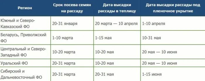 Срок посадки помидор на рассаду в марте. Благоприятные дни для рассады в феврале 2023. Сроки посадки семян на рассаду в 2023 году в Подмосковье. В какие емкости сажать помидоры на рассаду семенами. Лунный календарь на февраль 2023 для рассады.