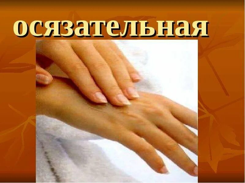 Осязательная информация это. Осязательная система. осязательная информация. осязательная память. осязательное рисунок.