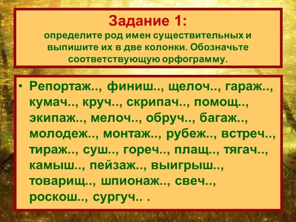 Мягкий знак на конце существительных после шипящих задания. Ь на конце существительных после шипящих карточки. Мягкий знак после шипящих на конце существительных упражнения. Мягкий знак после шипящих 3 класс.