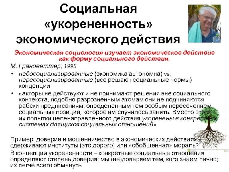 Экономические законы, механизмы их действия и использования. Механизм действия и использования экономических законов. Экономический эффект и эффективность. Экономические ресурсы признаки. Экономика образования как наука.