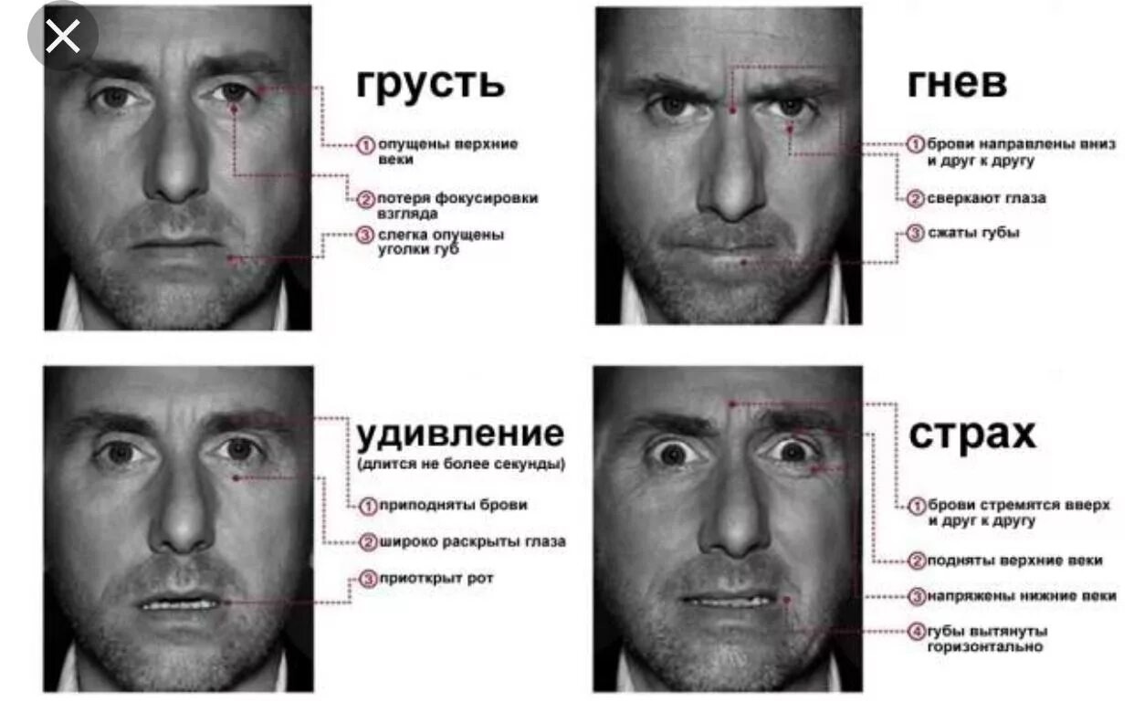 Мимика пол Экман. Обмани меня тим рот эмоции. Пол Экман теория лжи. Мимика эмоций пол Экман.