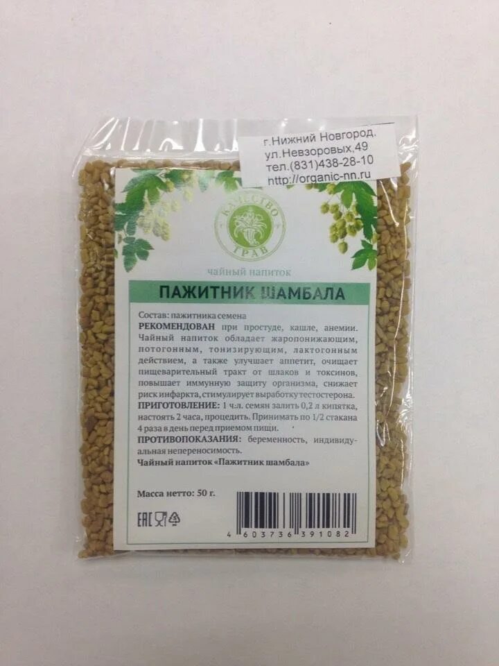 Пажитник как выглядит растение. Трава хельба пажитник. Пажитник шамбала растение. Пажитник сенной шамбала. Пажитник растение.