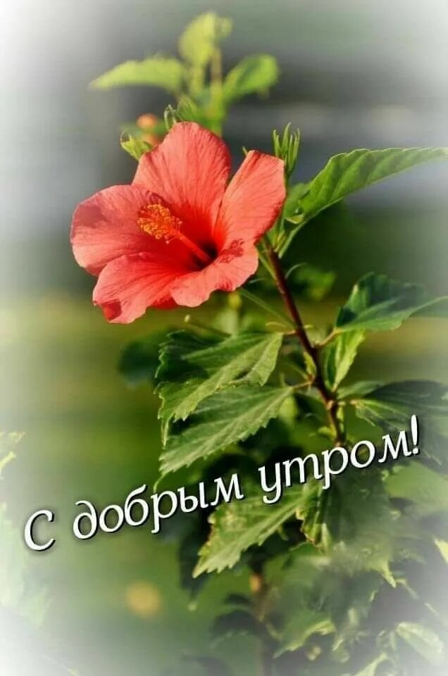 И опять добрый день