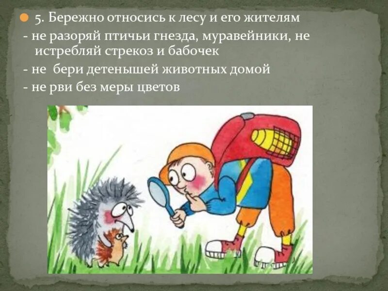 Бережно относитесь ко всему живому. Призыв к бережному отношению к лесу. Бережное отношение к лесу. Бережно относитесь к лесу. Бережном отношении к лесу.