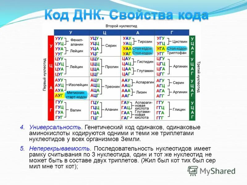 Генетический код триплет нуклеотидов. Рамка считывания генетического кода. Открытая рамка считывания генетического кода. Универсальность генетического кода. Рамка считывания это в биологии.