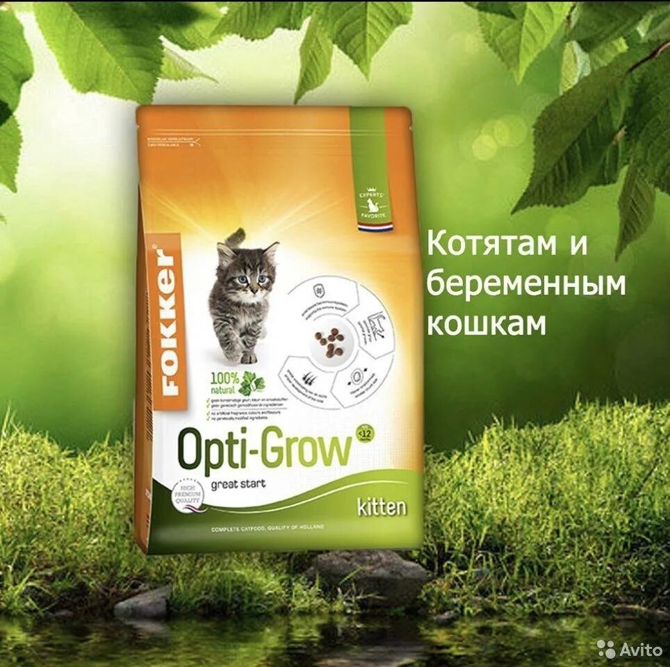 Влажные корма супер премиум класса для кошек. Корм для кошек супер премиум класса. корма для кошек суперпремиум, холистик, премиум. влажный корм для кошек премиум класса. super premium корм для кошек.