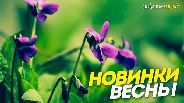 Музыка новинки весны русские. Весеннее поступление. Весенние новинки. Новое Весеннее поступление.