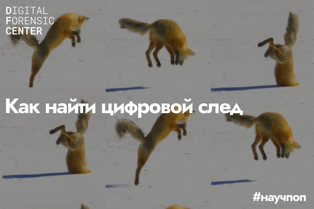 Информационный цифровой след. Информационный цифровой след