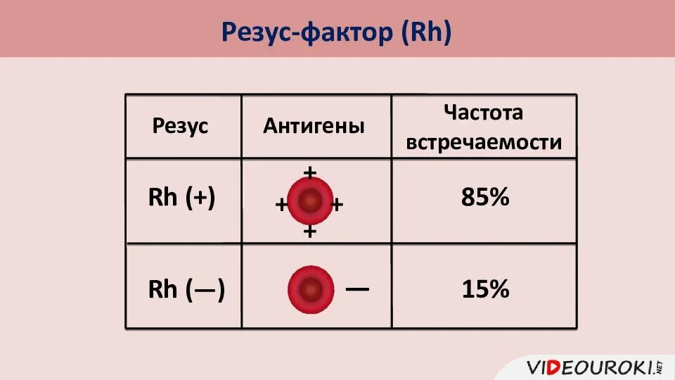 Резус фактор типы. Группы крови человека: система резус-фактора.. Группа крови системы резус фактор. Схема наследования групп крови и резус фактора. Резус-фактор крови изображение.