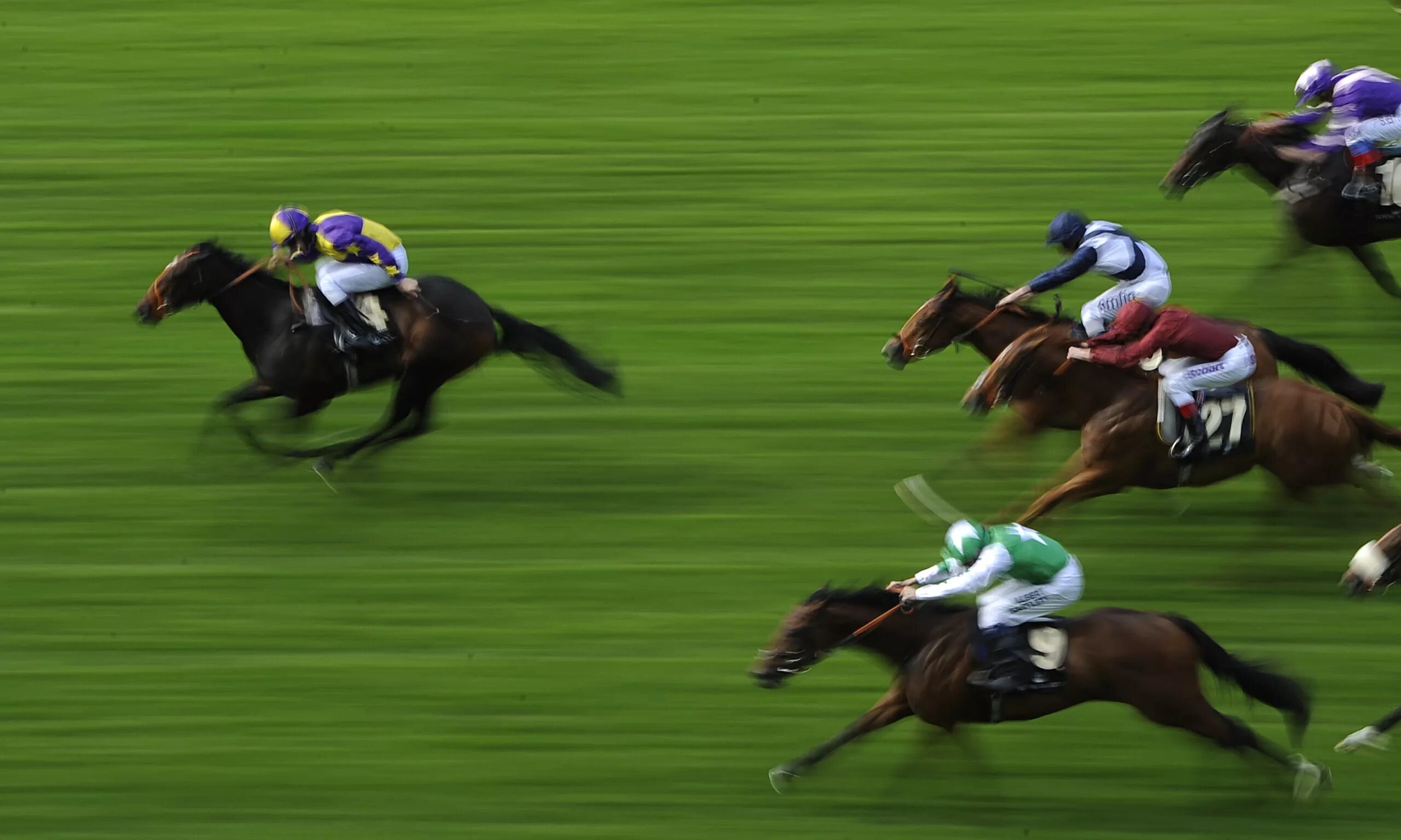 Лошадь на скачках. Английская верховая чистокровная лошадь стипль чез. Английская чистокровная лошадь вороная. Конные скачки. Жокей на ипподроме.