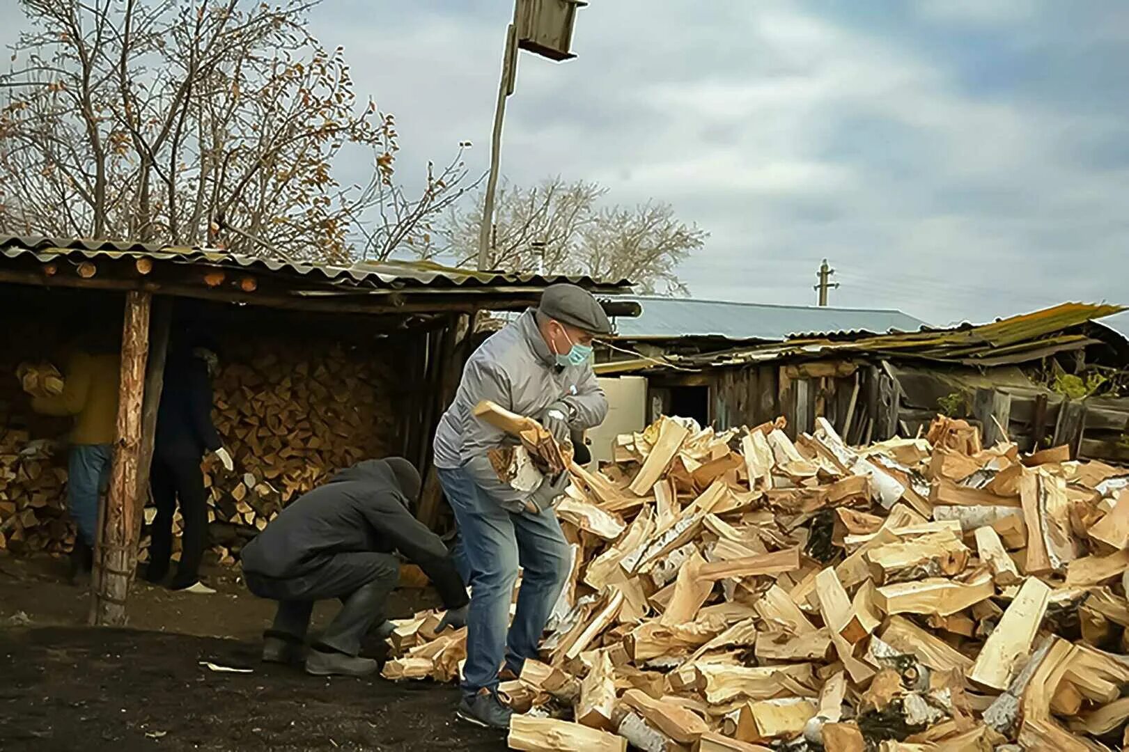 Дрова новости. Человек рубит дрова в деревне. Заготовка дров. Женщина с дровами. За кражу дров.
