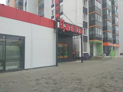 Цвет петрозаводск