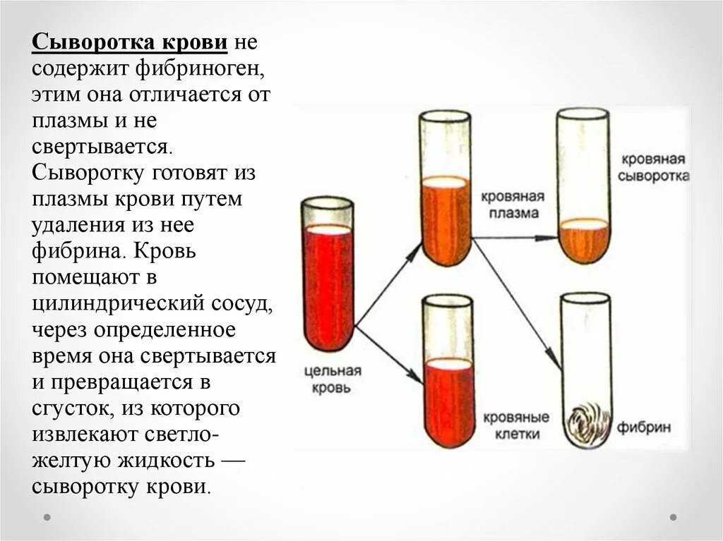 Плазма это кровь