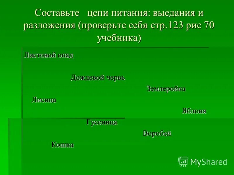 Цепь питания листовой опад дождевой червь. Цепи выедания цепи детритные. Листовой опад ￼землеройка ￼дождевой червь. Детритная цепь питания. Цепь питания дождевого червя.