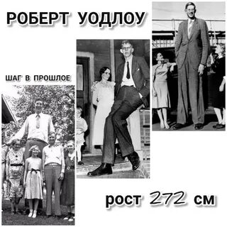 Высокий человек книга
