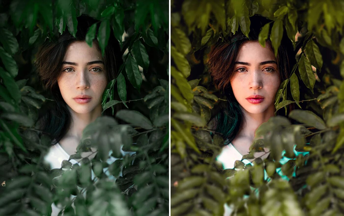 Your presets